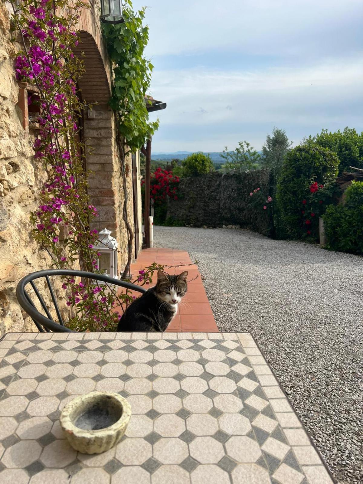 Antico Casolare Vila San Gimignano Exterior foto
