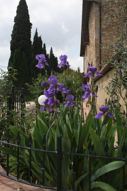 Antico Casolare Vila San Gimignano Exterior foto